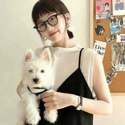 紫色档案